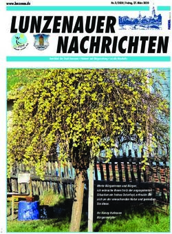 LUNZENAUER - Stadt Lunzenau