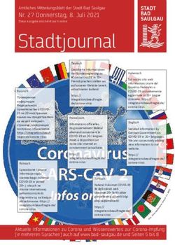 Nr. 27 Donnerstag, 8. Juli 2021 - Stadtjournal