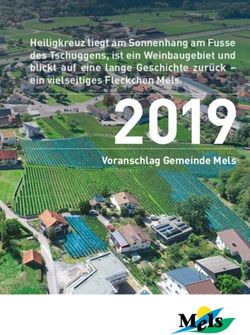 2019 Voranschlag Gemeinde Mels