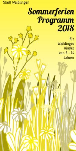Sommerferien Programm 2018 - Stadt Waiblingen