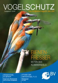 VOGEL SCHUTZ - BIENEN-FRESSER BOTEN DES KLIMAWANDELS