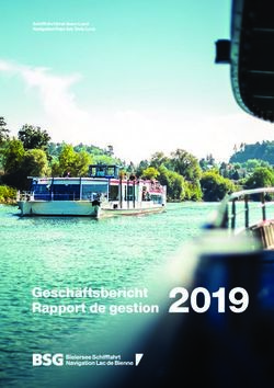 Rapport de gestion 2019 - Dampferzeitung