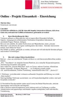 Online - Projekt Einsamkeit - Einreichung - Anna Maria Gsöllpointner