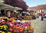 NATURGARTEN BREISGAU KAISERSTUHL MARKGRÄFLER LAND - Kaiserstuhl und Tuniberg Schwarzwald und Markgräfler Land - Abo