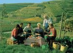 NATURGARTEN BREISGAU KAISERSTUHL MARKGRÄFLER LAND - Kaiserstuhl und Tuniberg Schwarzwald und Markgräfler Land - Abo