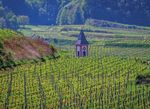 NATURGARTEN BREISGAU KAISERSTUHL MARKGRÄFLER LAND - Kaiserstuhl und Tuniberg Schwarzwald und Markgräfler Land - Abo