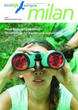 Milan Neue Birdergruppe Nisus - Ornithologie f&uuml;r Kinder und Jugendliche - Birdlife Aargau