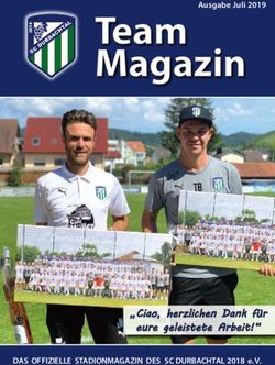 "Ciao, herzlichen Dank f&uuml;r eure geleistete Arbeit!" - Ausgabe Juli 2019 - DAS OFFIZIELLE STADIONMAGAZIN DES SC DURBACHTAL 2018 e. V - SC ...