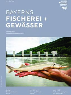 FISCHEREI + GEW&Auml;SSER BAYERNS - STERLET FISCHOTTER