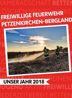 FREIWILLIGE FEUERWEHR - PETZENKIRCHEN BERGLAND - UNSER JAHR 2018