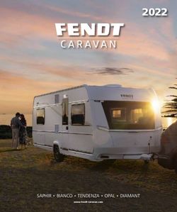 2022 SAPHIR BIANCO TENDENZA OPAL DIAMANT - Fendt ...