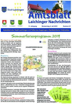 Sommerferienprogramm 2019 - Stadt Laichingen