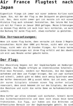 Air France Flugtest nach Japan - Mangakochbuch