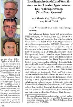 Brasilianische Stadt-Land-Verh&auml;ltnisse im Zeichen des Agrobusiness. Das Fallbeispiel Sinop (Nord-Mato Grosso)1