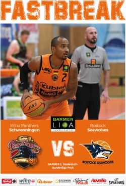 Wiha Panthers Schwenningen Rostock Seawolves