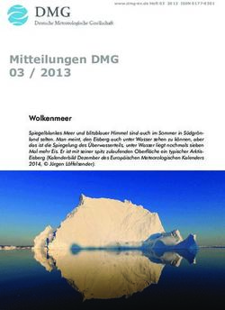 Mitteilungen DMG 03 / 2013 - Wolkenmeer - Deutsche Meteorologische Gesellschaft ...