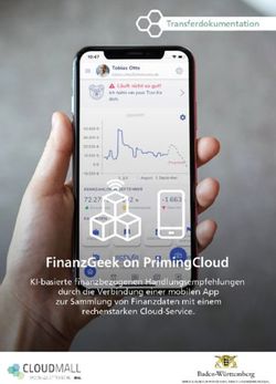 CLOUD MALL BW - TRANSFERDOKUMENTATION "FINANZGEEK ON PRIMINGCLOUD"