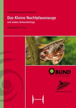 Das Kleine Nachtpfauenauge - Schulbiologiezentrum Hannover Arbeitshilfe Nr. 15.24