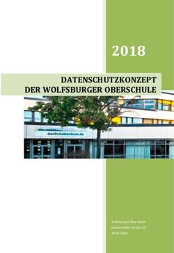 2018 DATENSCHUTZKONZEPT DER WOLFSBURGER OBERSCHULE