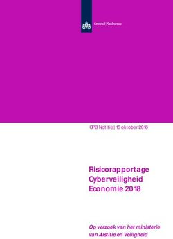 Risicorapportage Cyberveiligheid Economie 2018 - Op verzoek van het ministerie van Justitie en Veiligheid - The Hague ...