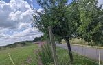 2022 Bebauungsplan "Unter dem Alferweg" Ortsgemeinde M&uuml;ckeln - Umweltbericht mit integriertem Fachbeitrag Naturschutz
