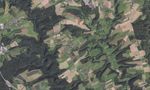 2022 Bebauungsplan "Unter dem Alferweg" Ortsgemeinde M&uuml;ckeln - Umweltbericht mit integriertem Fachbeitrag Naturschutz
