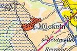 2022 Bebauungsplan "Unter dem Alferweg" Ortsgemeinde M&uuml;ckeln - Umweltbericht mit integriertem Fachbeitrag Naturschutz
