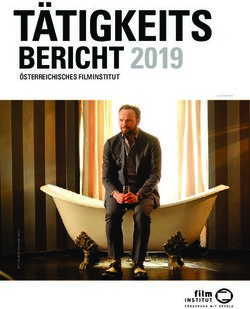 T&Auml;TIGKEITS BERICHT 2019 - &Ouml;STERREICHISCHES FILMINSTITUT - &Ouml;sterreichisches ...