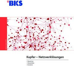 KUPFER - NETZWERKL&Ouml;SUNGEN-NEWLINE - HOMENET - ECOLINE - ZENNER.LU