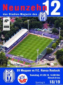 Neunzehn - SV Meppen vs F.C. Hansa Rostock