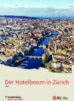 2019Der Hotelboom in Zürich - Hotelleriesuisse