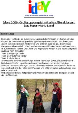 Idays 2009: Gro&szlig;gruppenspiel mit allen Altersklassen: Das Super-Mario-Land
