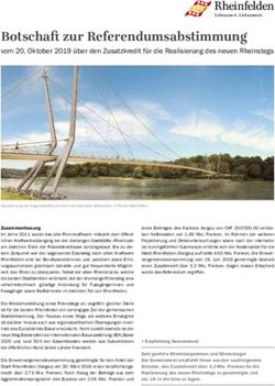 Botschaft zur Referendumsabstimmung - vom 20. Oktober 2019 &uuml;ber den Zusatzkredit f&uuml;r die Realisierung des neuen Rheinstegs - Rheinfelden