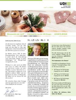 BLICKPUNKT Dezember 2018 - UDI Beratungsgesellschaft mbH