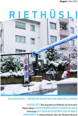 DAS RIETHÜSLI - WENN EIN QUARTIER ZUR BAUSTELLE WIRD