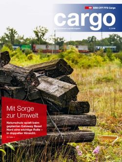 Mit Sorge zur Umwelt Naturschutz spielt beim geplanten Gateway Basel Nord eine wichtige Rolle - in doppelter Hinsicht - SBB Cargo AG