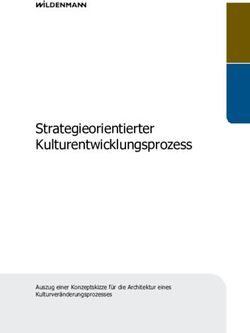 Strategieorientierter Kulturentwicklungsprozess - Auszug einer Konzeptskizze für die Architektur eines Kulturveränderungsprozesses - Wildenmann ...