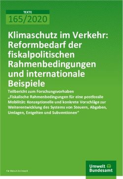 Klimaschutz im Verkehr: Reformbedarf der fiskalpolitischen Rahmenbedingungen und internationale Beispiele