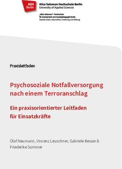 Psychosoziale Notfallversorgung nach einem Terroranschlag - Ein praxisorientierter Leitfaden f&uuml;r Einsatzkr&auml;fte