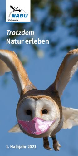 Trotzdem Natur erleben - Halbjahr 2021 - NABU Rotenburg