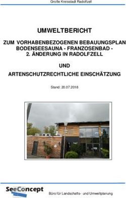 UMWELTBERICHT ZUM VORHABENBEZOGENEN BEBAUUNGSPLAN BODENSEESAUNA - FRANZOSENBAD - &Auml;NDERUNG IN RADOLFZELL UND ARTENSCHUTZRECHTLICHE EINSCH&Auml;TZUNG