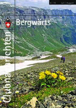 Bergw&auml;rts Juli | August - www.sac-bodan.ch - SAC Bodan