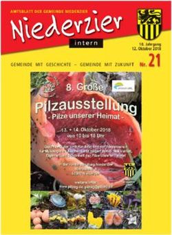 GEMEINDE MIT GESCHICHTE - GEMEINDE MIT ZUKUNFT Nr. 21 - Jahrgang 12. Oktober 2018 - Gemeinde Niederzier
