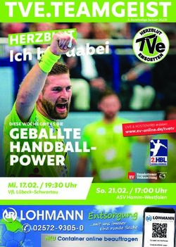 GEBALLTE HANDBALL-POWER - MI. 17.02. / 19:30 UHR VFL L&Uuml;BECK-SCHWARTAU - TV EMSDETTEN