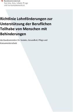 Richtlinie Lohnf&ouml;rderungen zur Unterst&uuml;tzung der Beruflichen Teilhabe von Menschen mit Behinderungen - des Bundesministers f&uuml;r Soziales ...