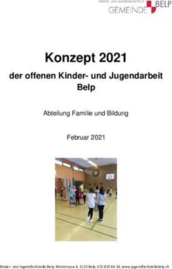 Konzept 2021 der offenen Kinder- und Jugendarbeit Belp - Abteilung Familie und Bildung - und Jugendfachstelle Belp