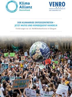DER KLIMAKRISE ENTGEGENTRETEN - JETZT MUTIG UND KONSEQUENT HANDELN - Forderungen zur 26. Weltklimakonferenz in Glasgow - VENRO