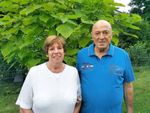 Mitteilungsblatt Verbandsgemeinde daun - gesundland Vulkaneifel - VG Daun