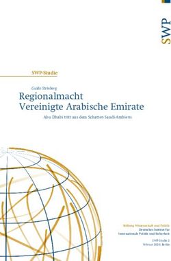 Regionalmacht Vereinigte Arabische Emirate - SWP-Studie Guido Steinberg - Abu Dhabi tritt ...