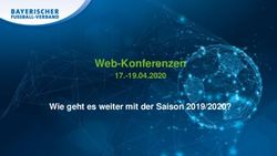 Web-Konferenzen Wie geht es weiter mit der Saison 2019/2020? 17.-19.04.2020 - BFV